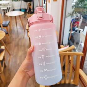 2 Liter Water Bottle With Straw Motivational Water Jug Plastic Frosted Bottles With Time Marker Outdoor Sports Water Bottles Cup (Color: A-Pink Blue)
